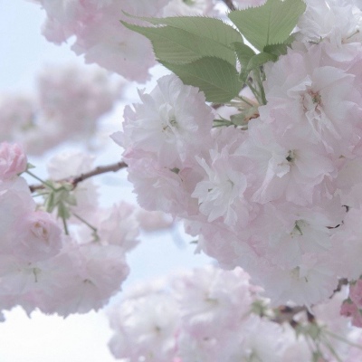 云溪FurryQQ群介绍